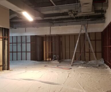 WhatsApp Image 2025-03-01 at 17.15.31